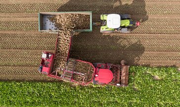 Harvest