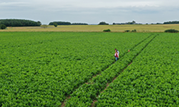 Improving Processes to Save Water at British Sugar