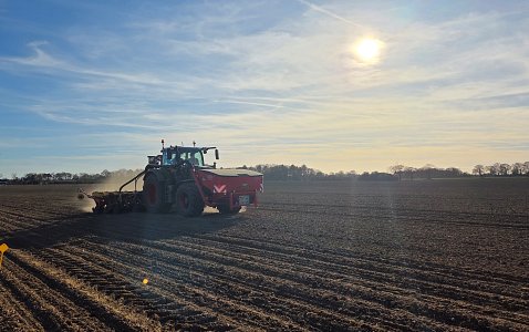 BBRO nitrogen trials underway