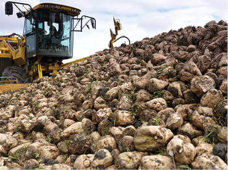 Collaborative approach beet harvest