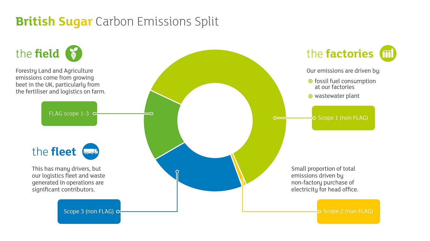 Infographic Chart Carbon Emissions Baseline