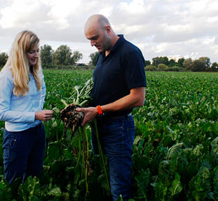 Man and woman in field with sugar beet