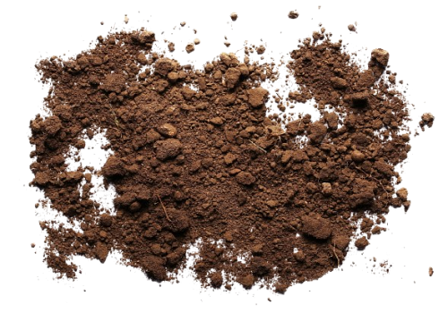 Dirt