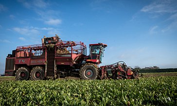 T4 machine harvesting beet