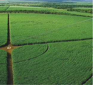 our approach field
